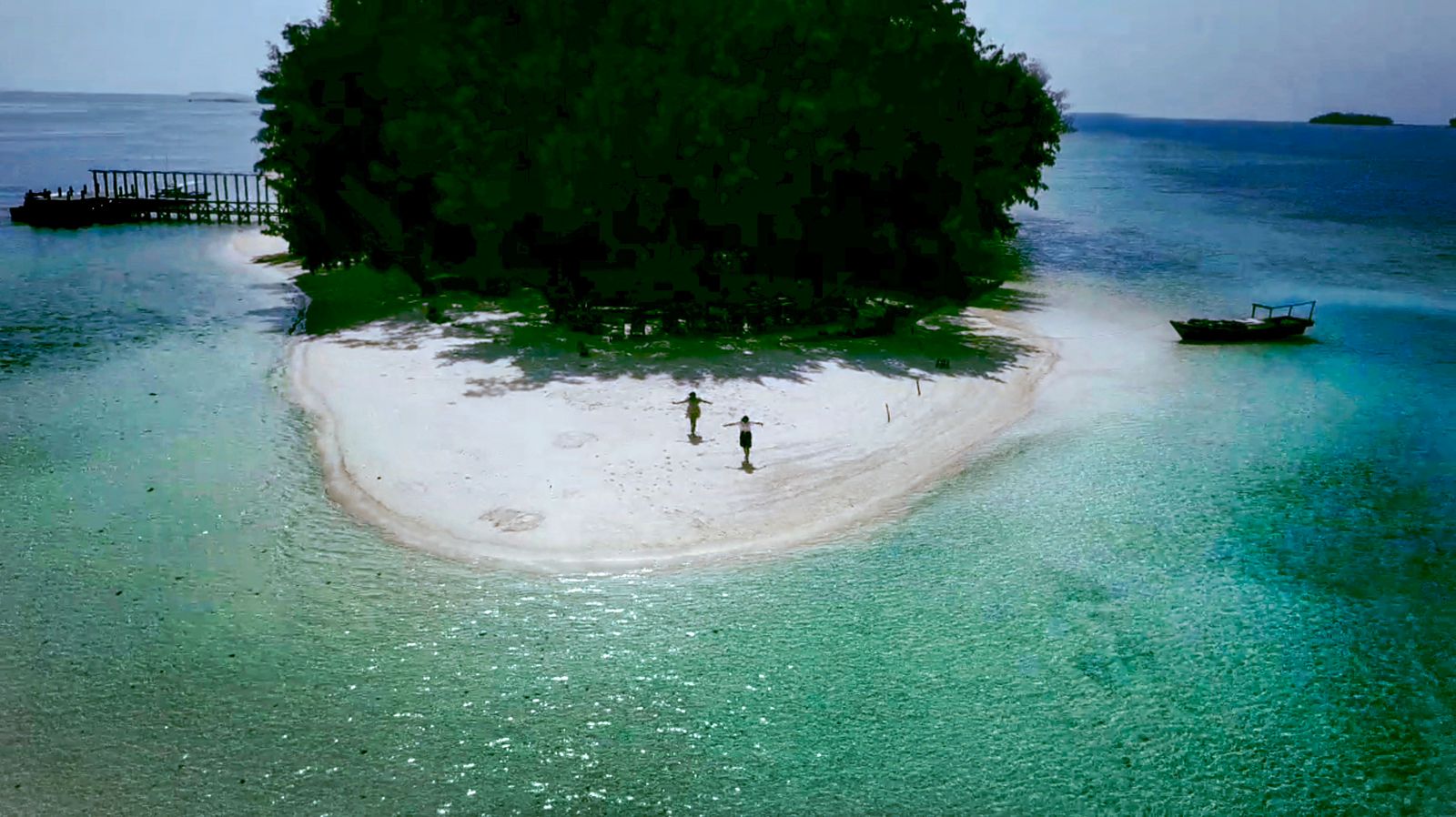Dolphin Island