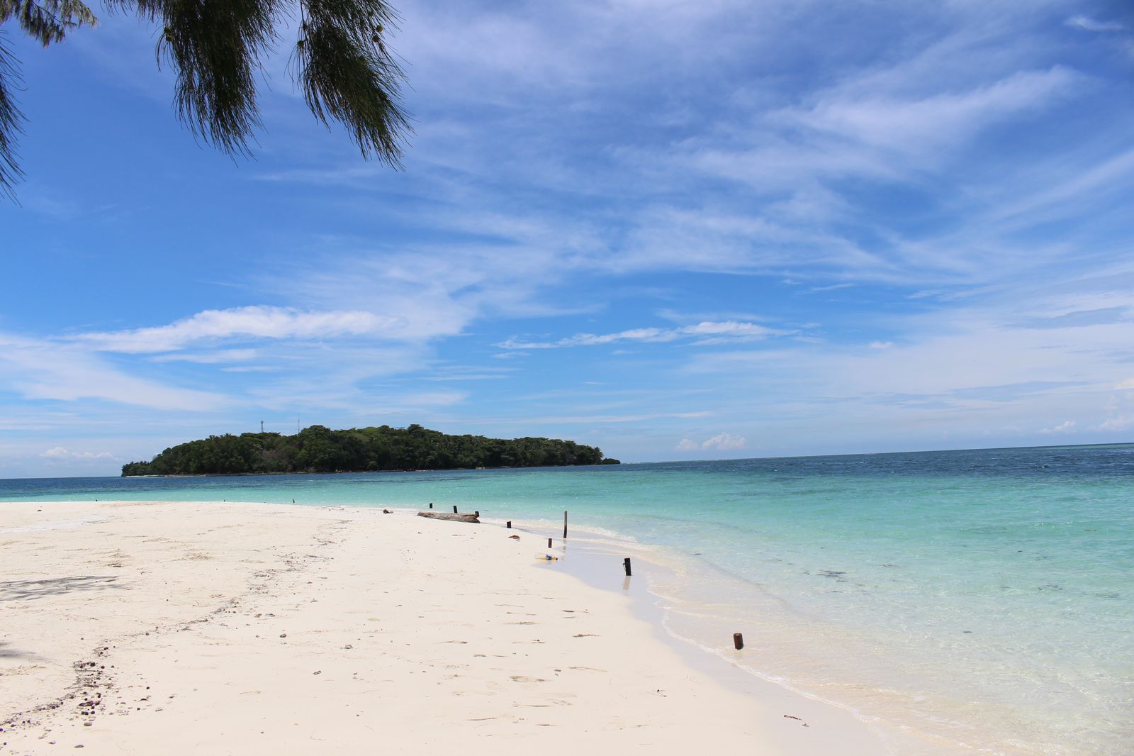 Dolphin Island