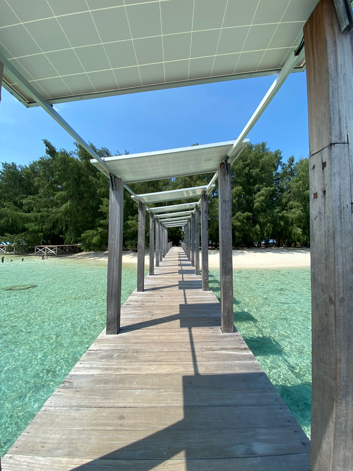 Dolphin Island